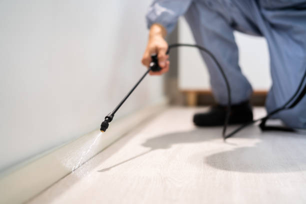 Rodent Entry Point Assessment in Levittown
