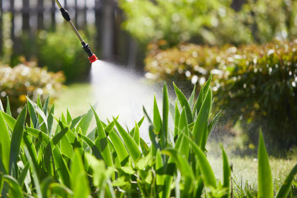 Tamper-Resistant Bait Stations for Rodents in Levittown