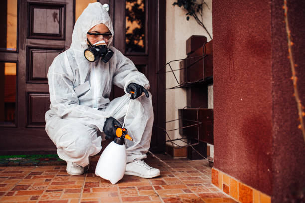 Attic and Crawl Space Rodent Treatment in Levittown
