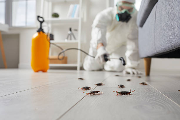 Commercial Rodent Management in Levittown
